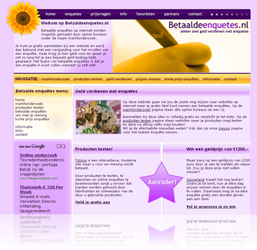 Betaaldeenquetes.nl